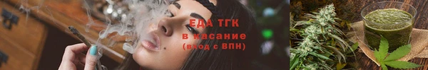 МДПВ Пересвет