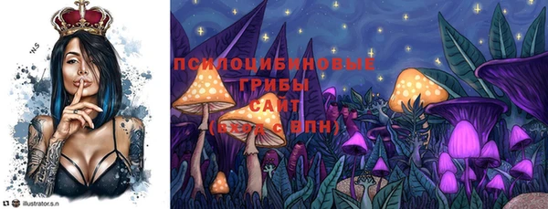 крисы Алексеевка